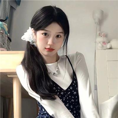 完美计划