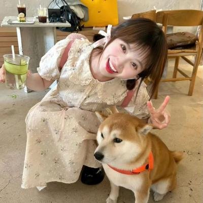 美得过火